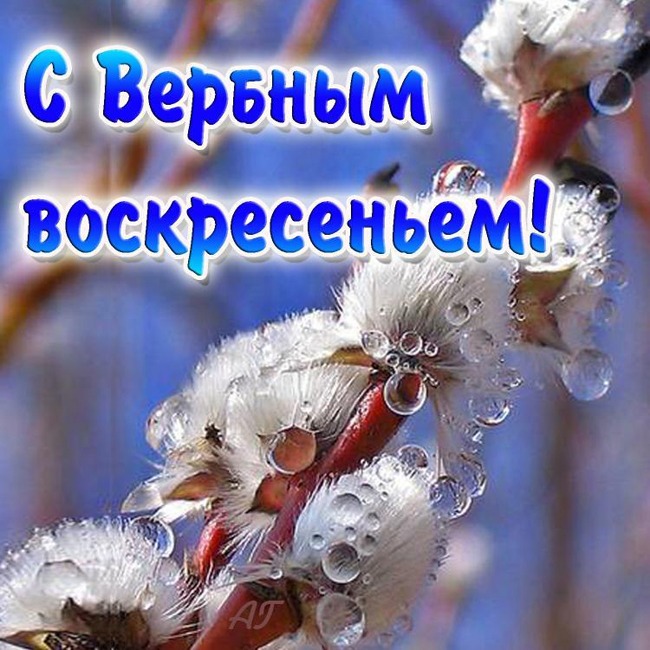 http://karakulcy.narod.ru/_nw/0/85536091.jpg